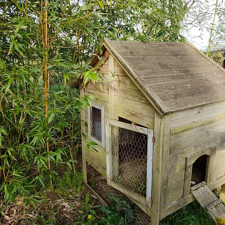 Le Cardoué, Gíte Au Cœur Du Bocage Vendéen Proche Puy Dufou