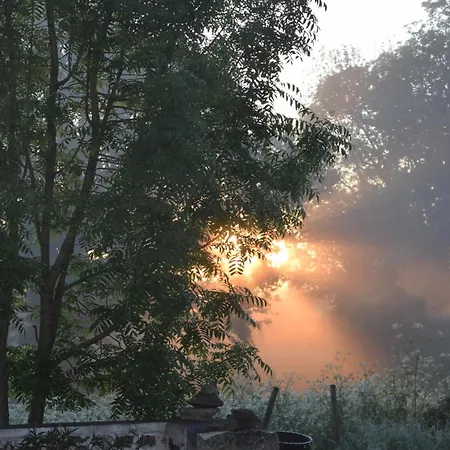 ベッド・アンド・ブレックファスト Le Cardoue, Au Coeur Du Bocage Vendeen Proche Puy Dufou シャントネー