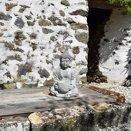 Le Cardoue, Au Coeur Du Bocage Vendeen Proche Puy Dufou シャントネー