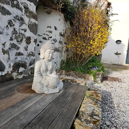 Le Cardoue, Au Coeur Du Bocage Vendeen Proche Puy Dufou * Chantonnay
