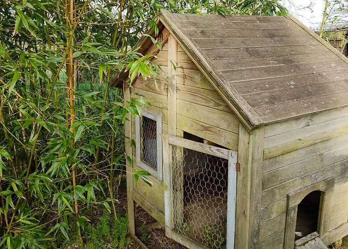Le Cardoué, Gíte Au Cœur Du Bocage Vendéen Proche Puy Dufou